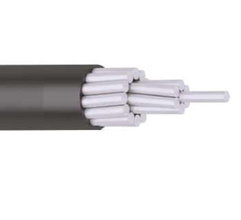  AAACS Cable