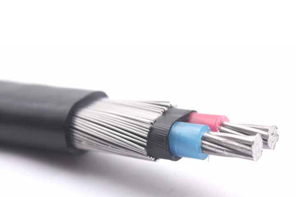 Service Concentric Cable - DOMINICAN