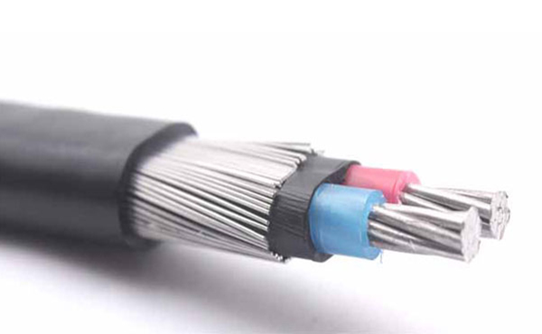Concentric Service Cables