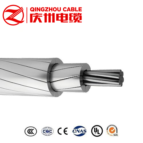 ACSS ACSS/AW ACSS/TW Conductor - Image 4