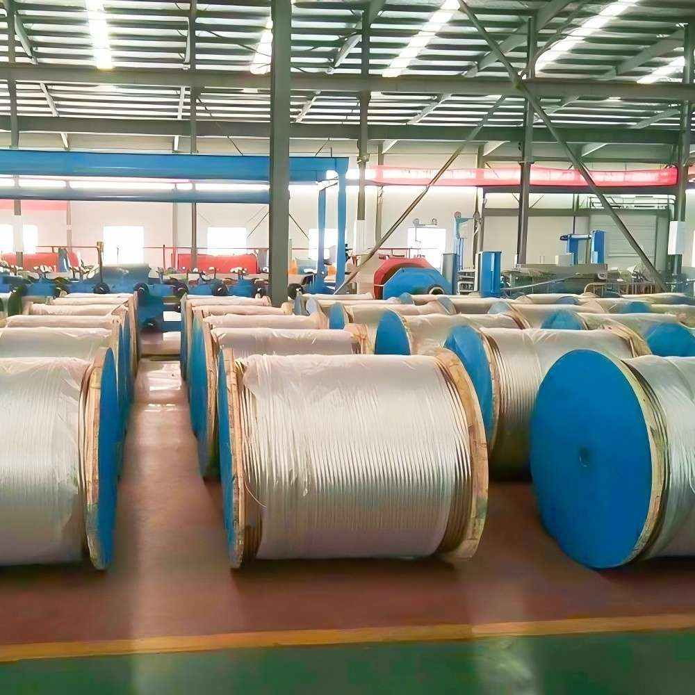 All Aluminum Conductor AAC - Image 4